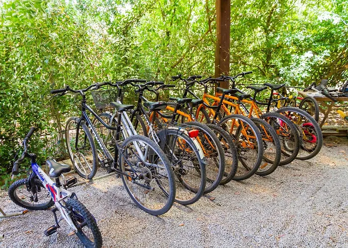 Alojamento de Turismo Rural Trilo Dalia