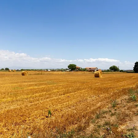 Trilo Dalia Farm stay