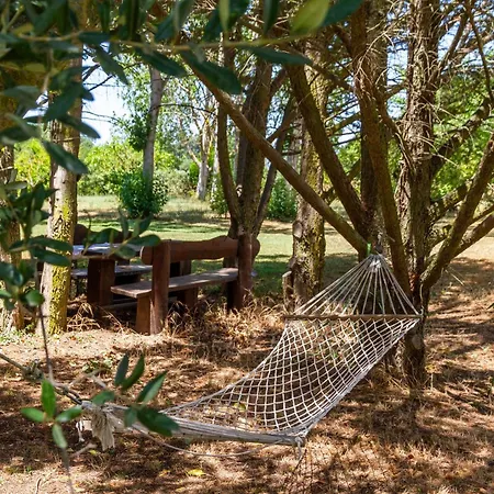 Trilo Dalia Marina di Grosseto