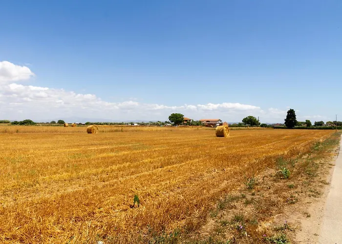 Trilo Dalia Gospodarstwo agroturystyczne